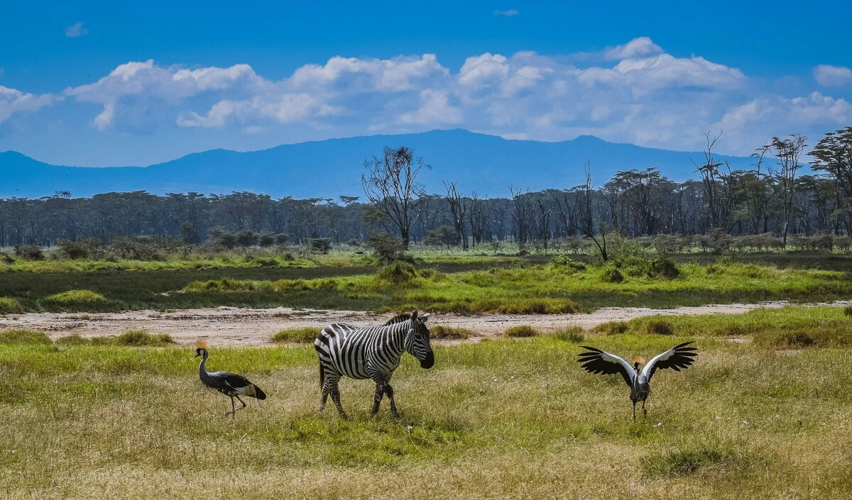 Lake Nakuru National Park - Day Trip - Photo 1