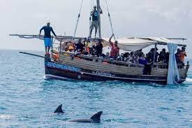 Wasini Dolphin Tour - Photo 2