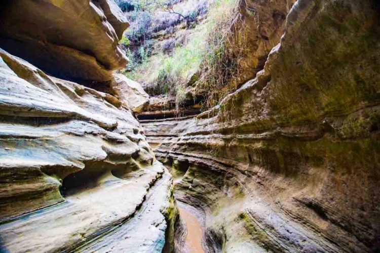 Hells Gate & Crescent Island - Day Trip - Photo 3