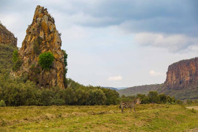 Hells Gate & Crescent Island - Day Trip - Photo 6