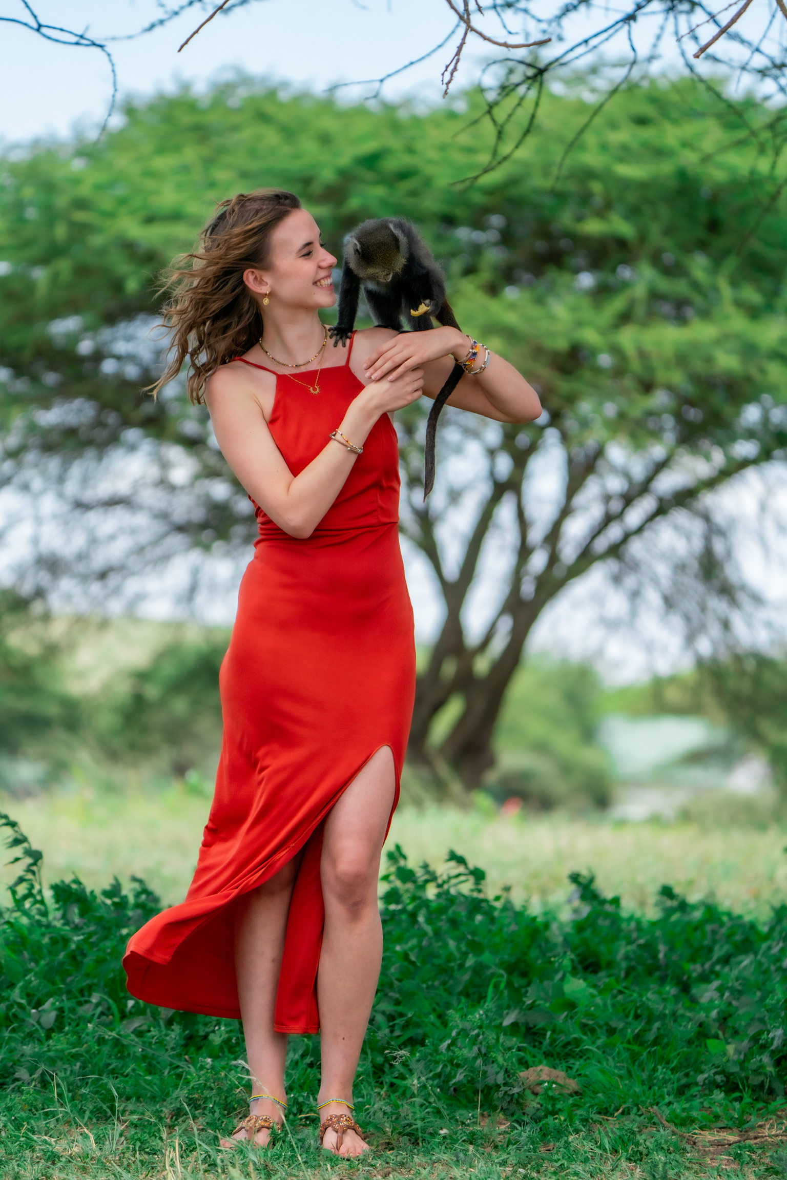 Serval Wildlife - Photo 5