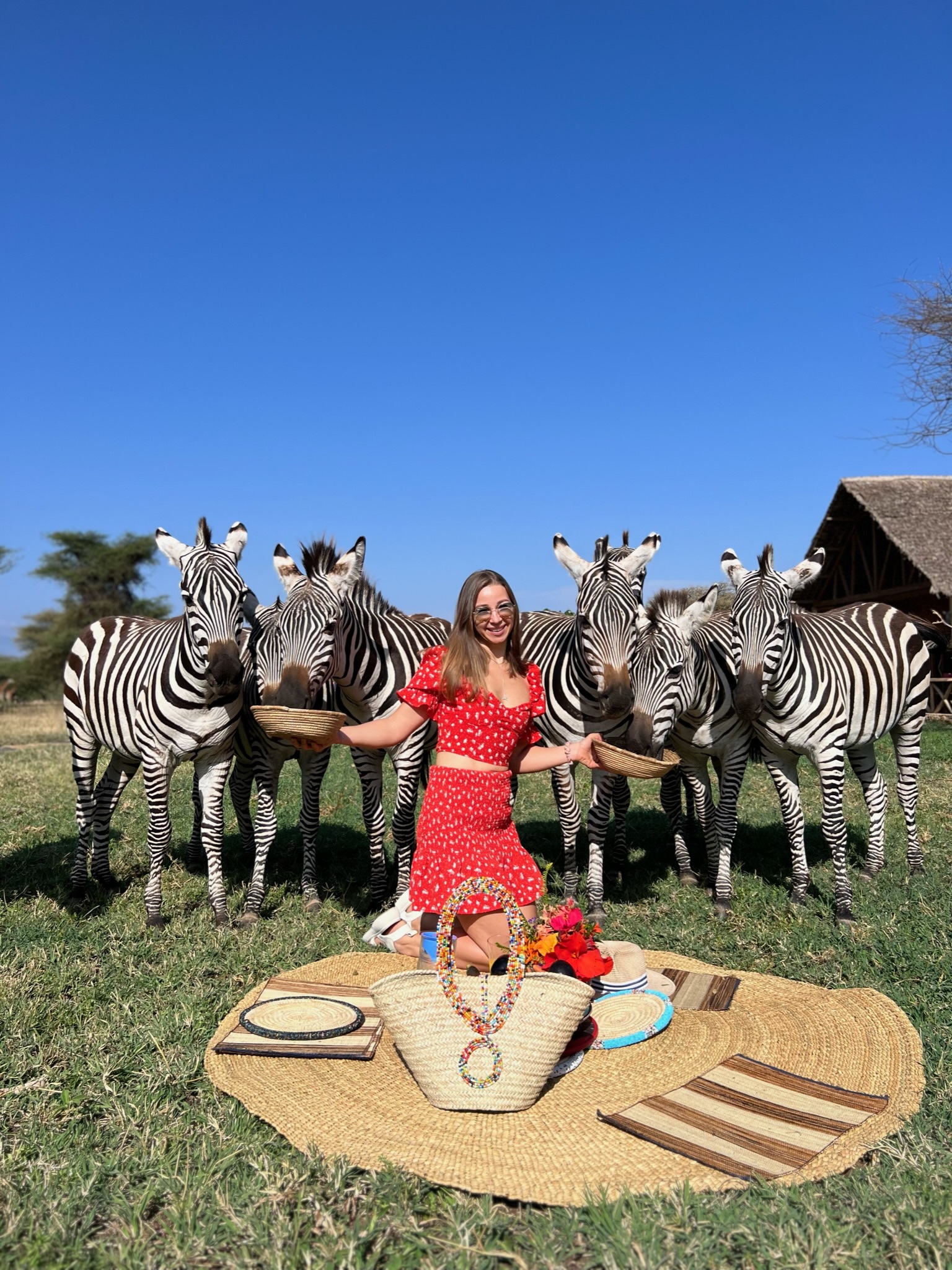 Serval Wildlife - Photo 1