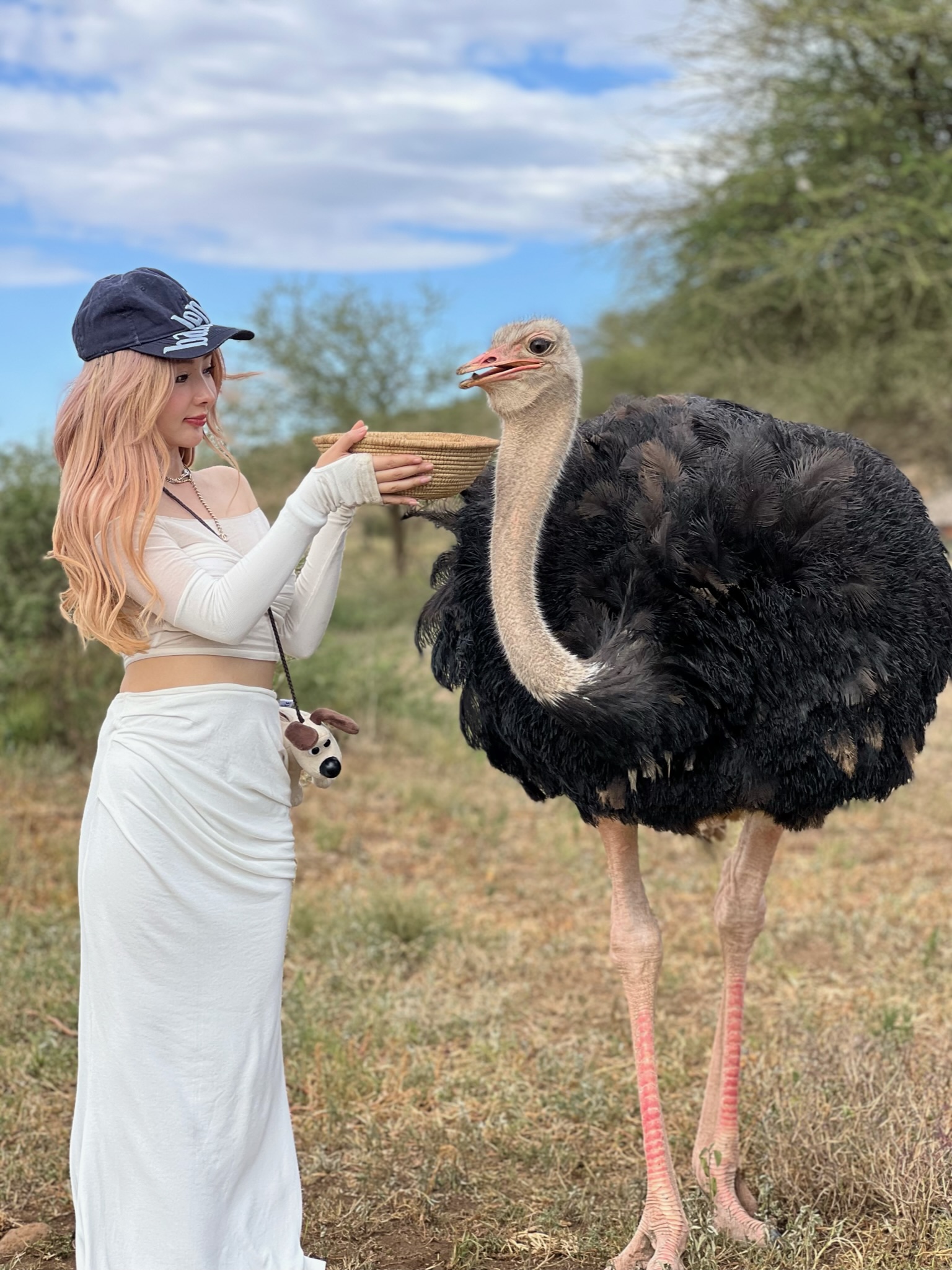 Serval Wildlife - Photo 3