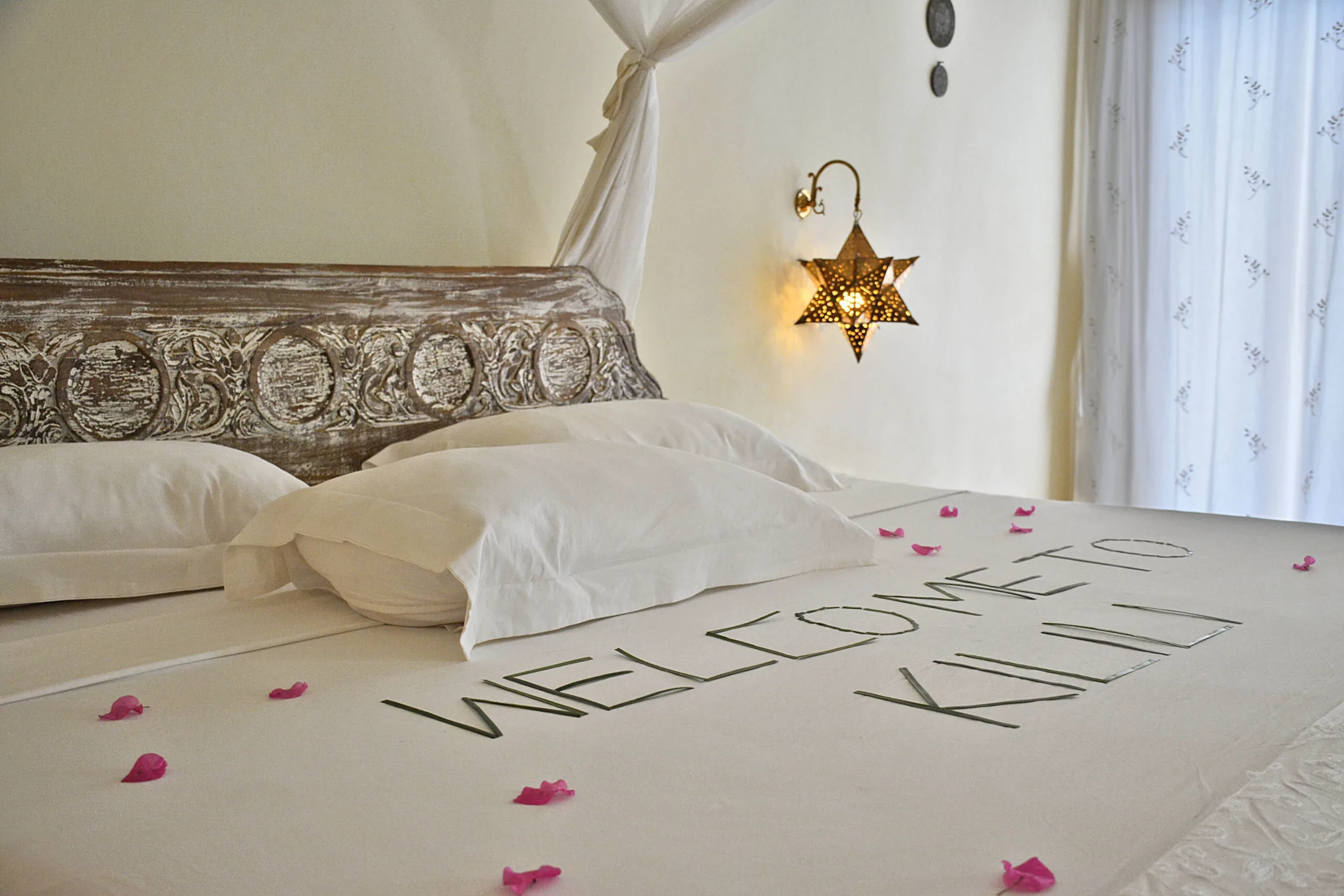 Junior Suite - Single Room
