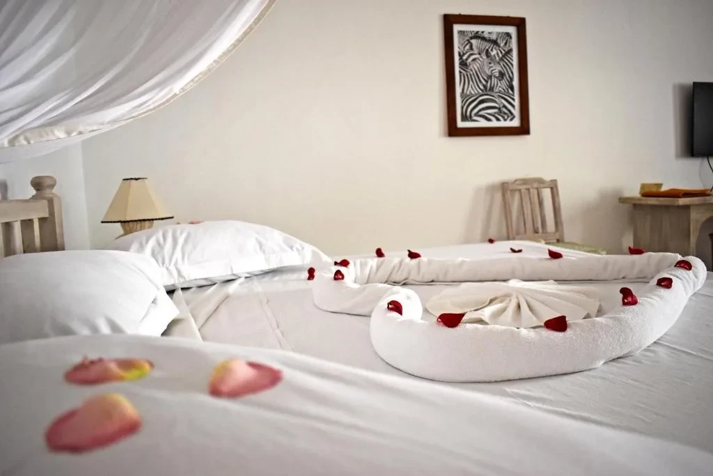 Superior Single Room