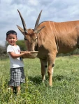 Arusha Serval & Meru Eco Camp | August 2026 Edition - Photo 4