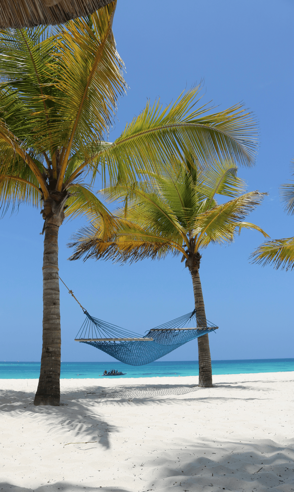 11 Days Kenya Safari & Beach Escape: Tsavo, Taita Hills, and Diani