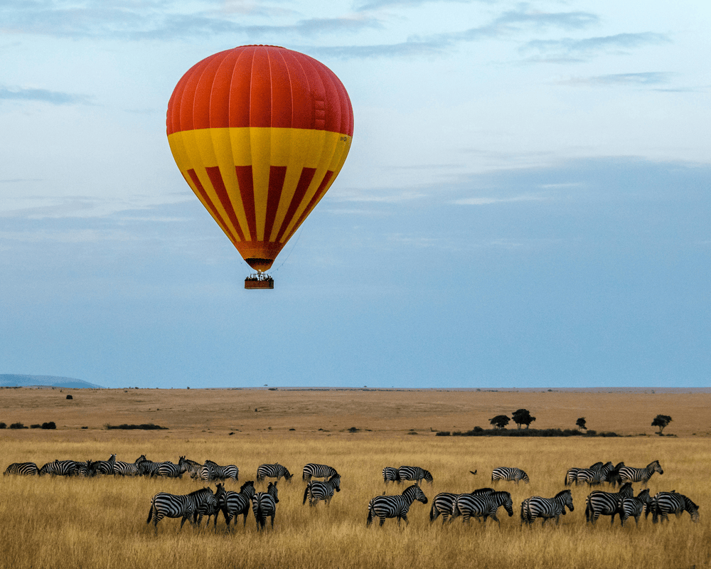 Drive to the Masai Mara National Reserve to
