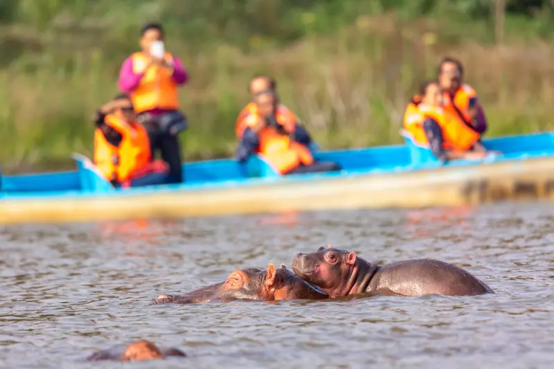 Boat ride on Lake Naivasha and walking safari on Crescent Island
