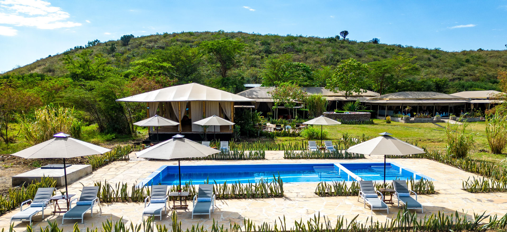 Zebra Plains Masai Mara
