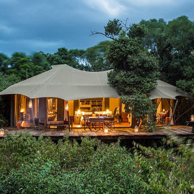 Mara Plains - Masai Mara