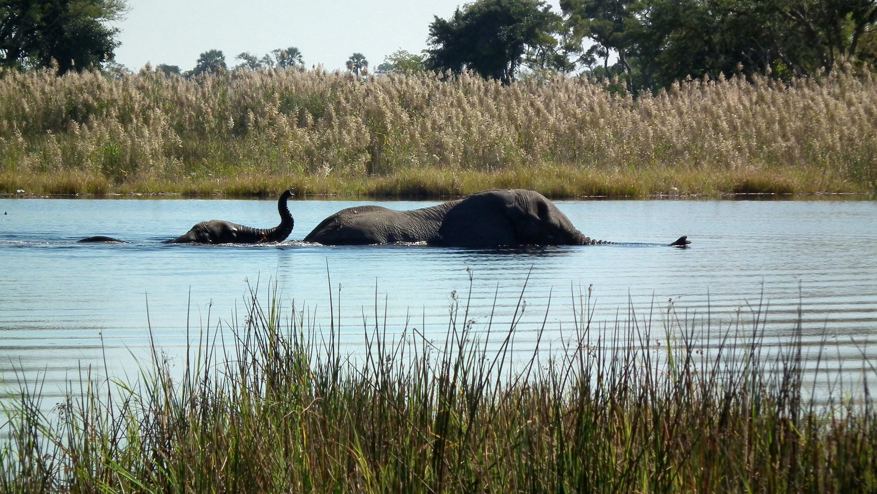 Travel to Botswana: Africa’s Untamed Wilderness Awaits